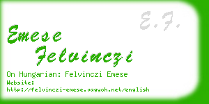 emese felvinczi business card